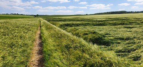 Hospodářský rok 2021