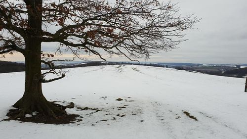 Hospodářský rok 2018