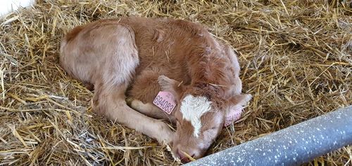 Hospodářský rok 2020